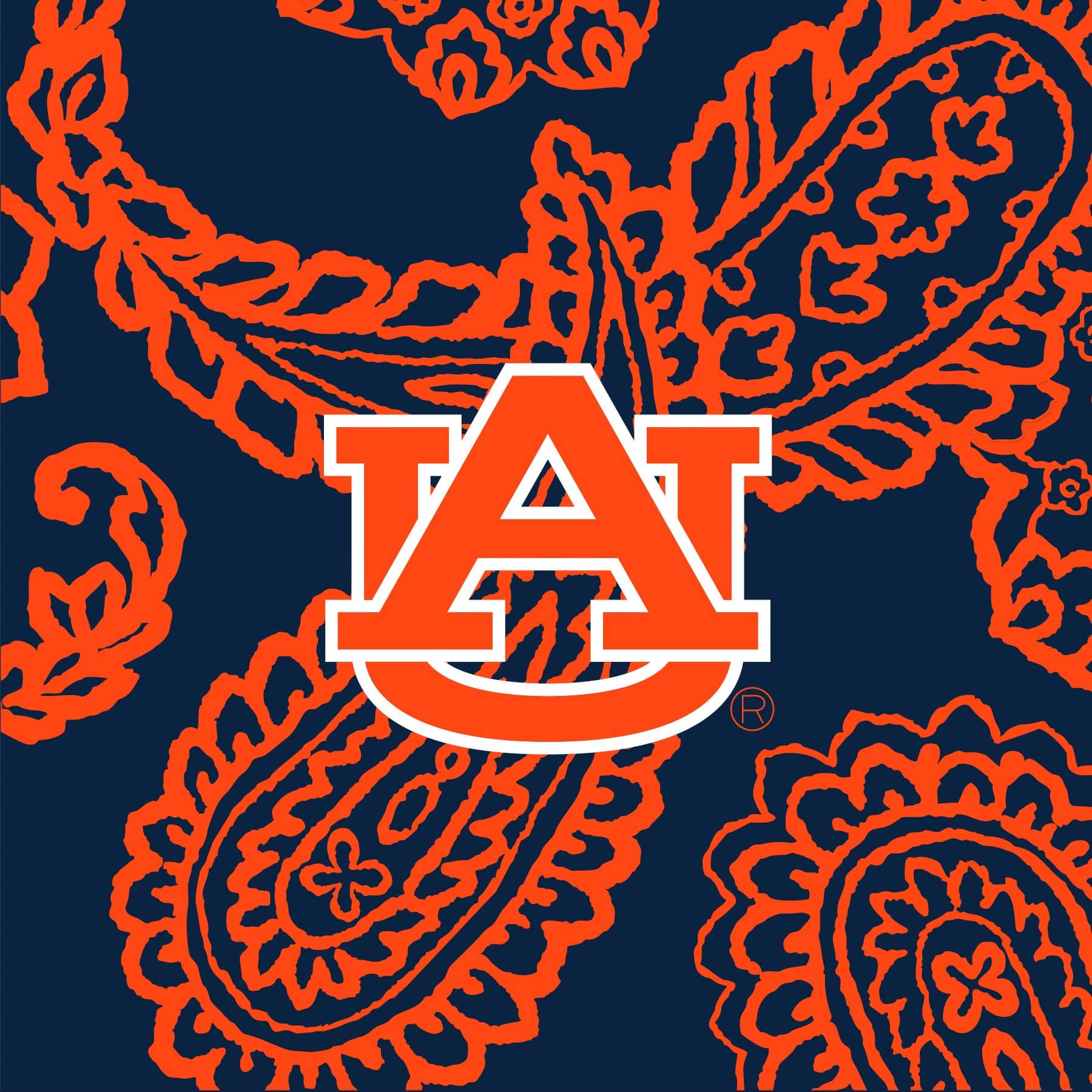 Collegiate RFID All in One Crossbody Bag - Image 2